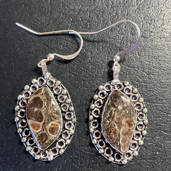Elimia Turitella Agate Crystal Stone Jewelry Earrings - Picture 4 of 5
